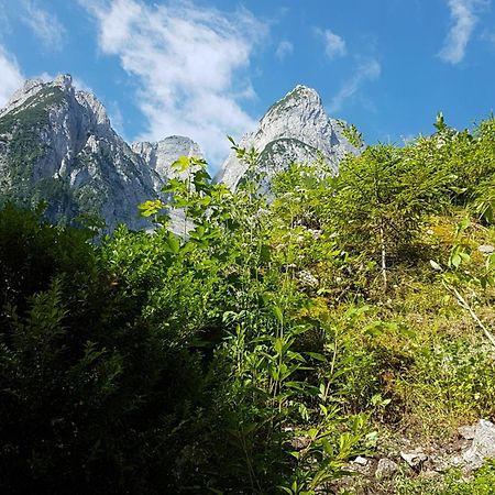 Gasthof Gosausee Экстерьер фото